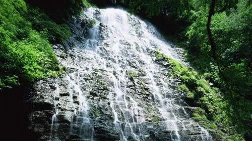 节能环保智能